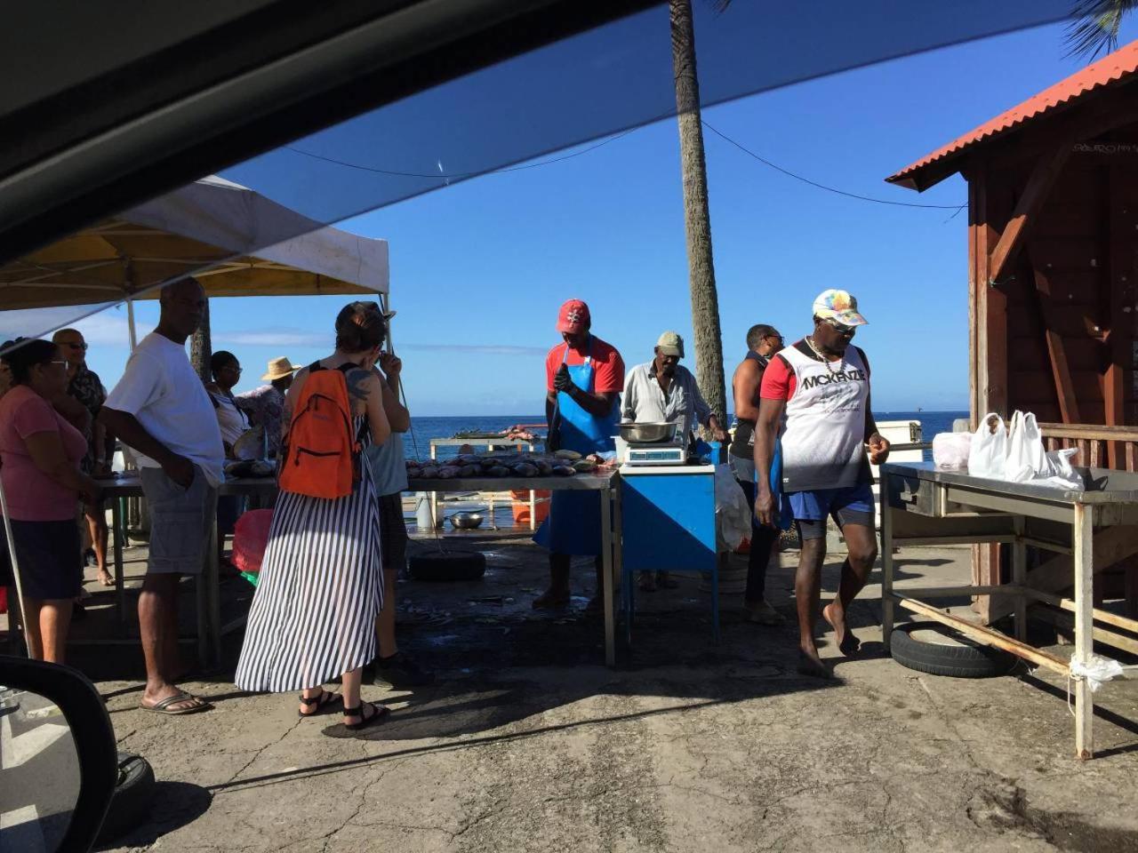 르 카르베 T2 Tropical En Bord De Piscine A 100M De La Mer 아파트 외부 사진