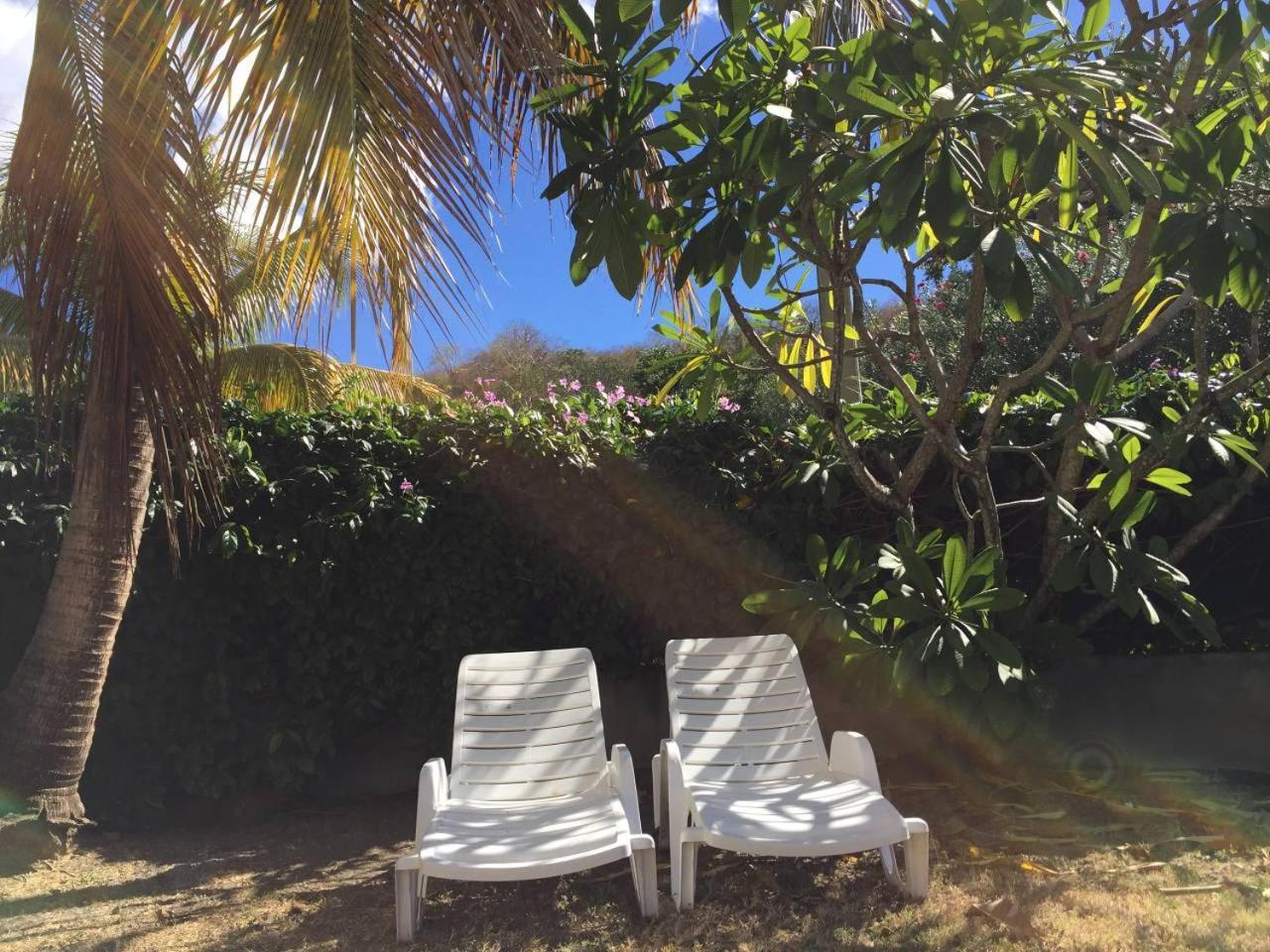 르 카르베 T2 Tropical En Bord De Piscine A 100M De La Mer 아파트 외부 사진